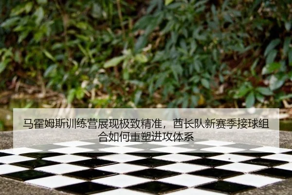 马霍姆斯训练营展现极致精准，酋长队新赛季接球组合如何重塑进攻体系