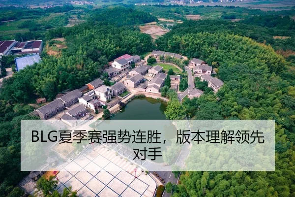 BLG夏季赛强势连胜，版本理解领先对手